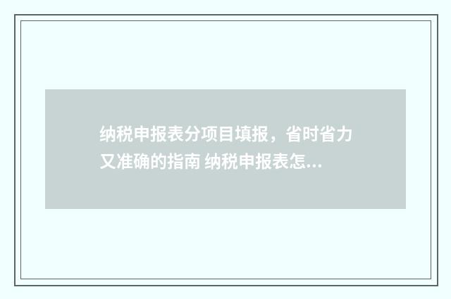 纳税申报表分项目填报，省时省力又准确的指南 纳税申报表怎么写分录
