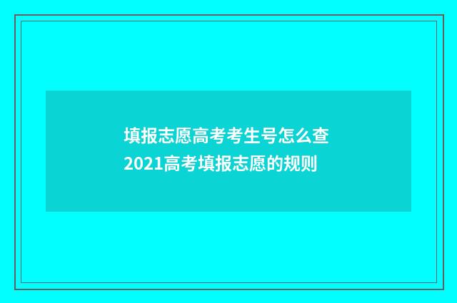填报志愿高考考生号怎么查 2021高考填报志愿的规则