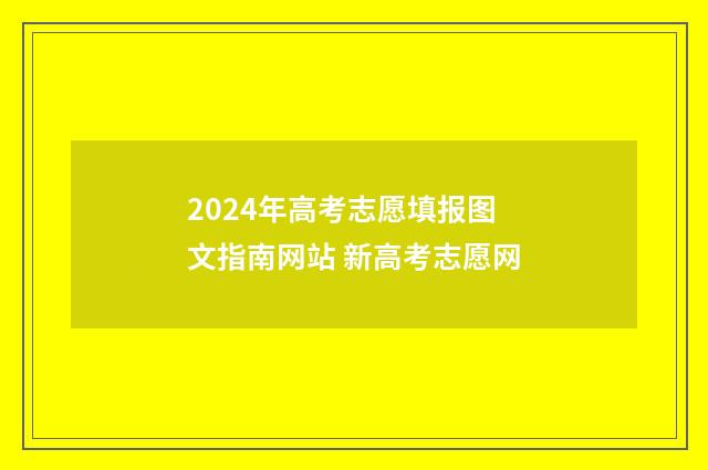 2024年高考志愿填报图文指南网站 新高考志愿网