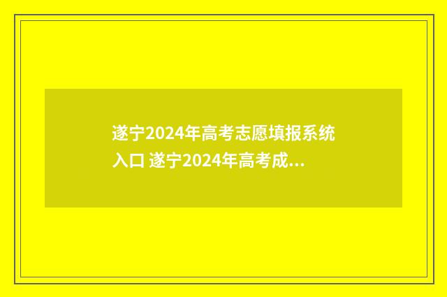 遂宁2024年高考志愿填报系统入口 遂宁2024年高考成绩