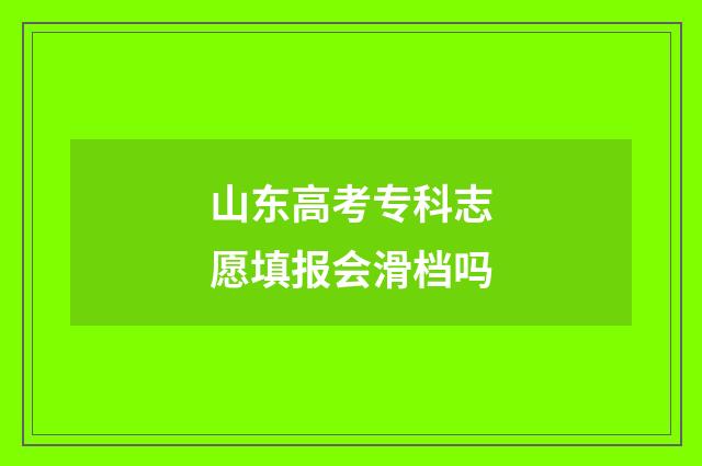山东高考专科志愿填报会滑档吗