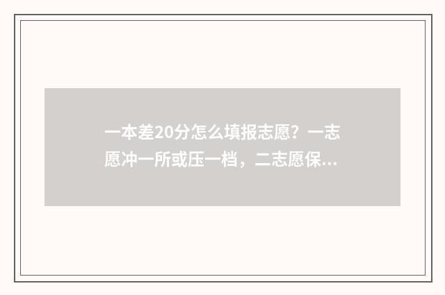 一本差20分怎么填报志愿?一志愿冲一所或压一档,二志愿保一所或冲一档? 差20分上一本怎么报考学校