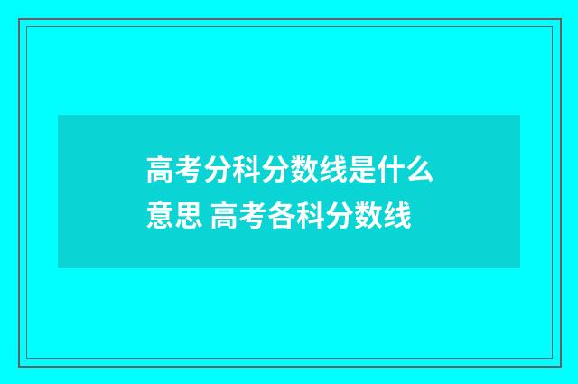高考分科分数线是什么意思 高考各科分数线