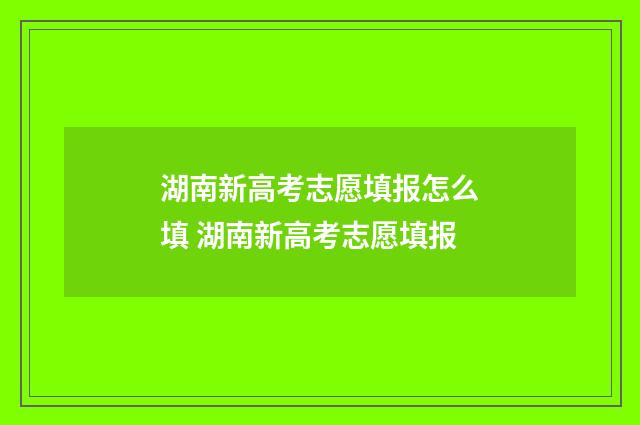 湖南新高考志愿填报怎么填 湖南新高考志愿填报