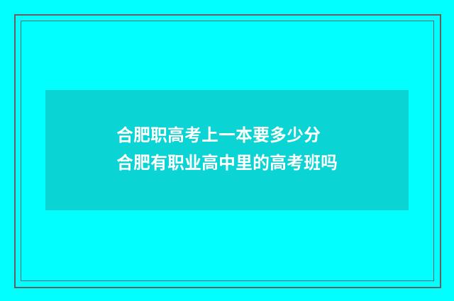 合肥职高考上一本要多少分 合肥有职业高中里的高考班吗