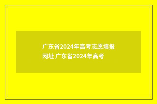 广东省2024年高考志愿填报网址 广东省2024年高考