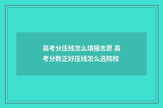 高考分压线怎么填报志愿 高考分数正好压线怎么选院校