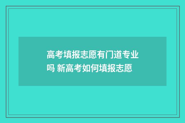 高考填报志愿有门道专业吗 新高考如何填报志愿