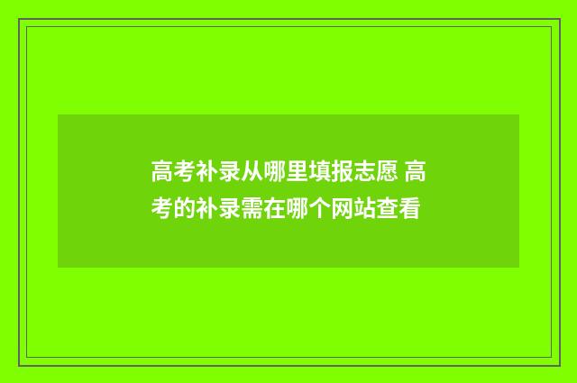 高考补录从哪里填报志愿 高考的补录需在哪个网站查看