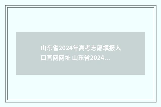 山东省2024年高考志愿填报入口官网网址 山东省2024年高等学校招生信息网