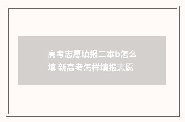 高考志愿填报二本b怎么填 新高考怎样填报志愿