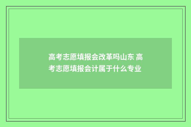 高考志愿填报会改革吗山东 高考志愿填报会计属于什么专业