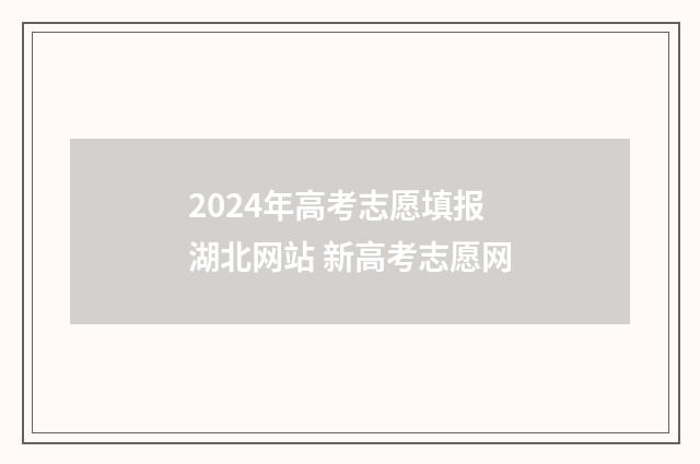 2024年高考志愿填报湖北网站 新高考志愿网