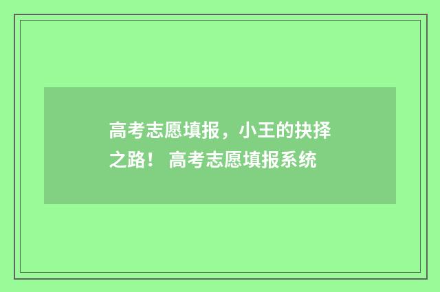高考志愿填报，小王的抉择之路！ 高考志愿填报系统