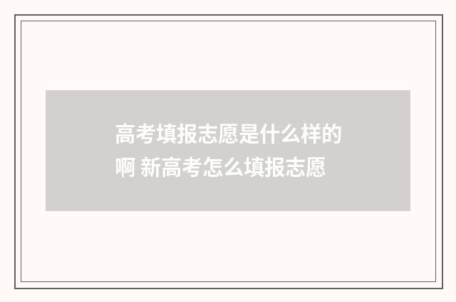 高考填报志愿是什么样的啊 新高考怎么填报志愿
