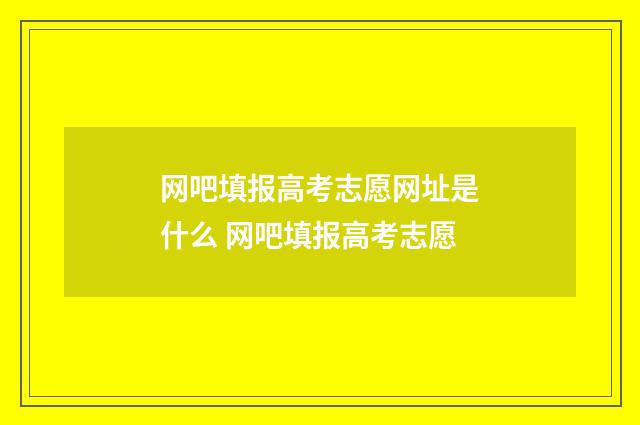 网吧填报高考志愿网址是什么 网吧填报高考志愿