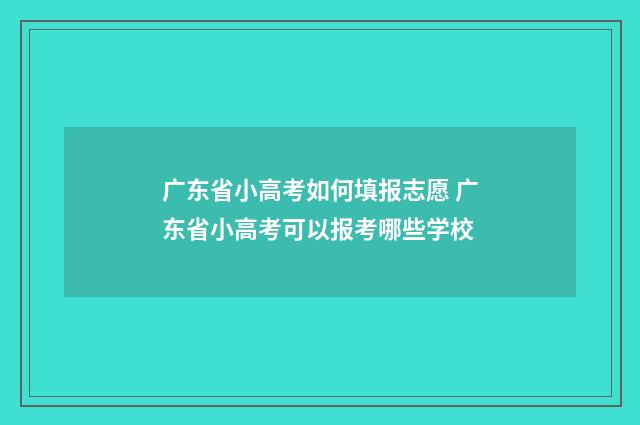 广东省小高考如何填报志愿 广东省小高考可以报考哪些学校