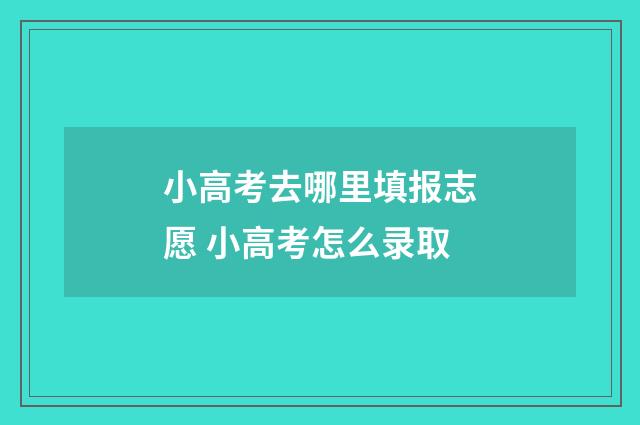 小高考去哪里填报志愿 小高考怎么录取