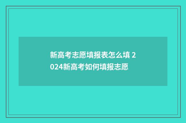 新高考志愿填报表怎么填 2024新高考如何填报志愿