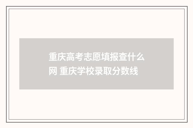 重庆高考志愿填报查什么网 重庆学校录取分数线