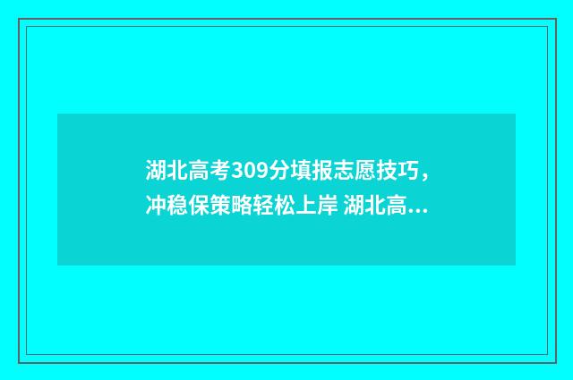 湖北高考309分填报志愿技巧,冲稳保策略轻松上岸 湖北高考309分填什么专业