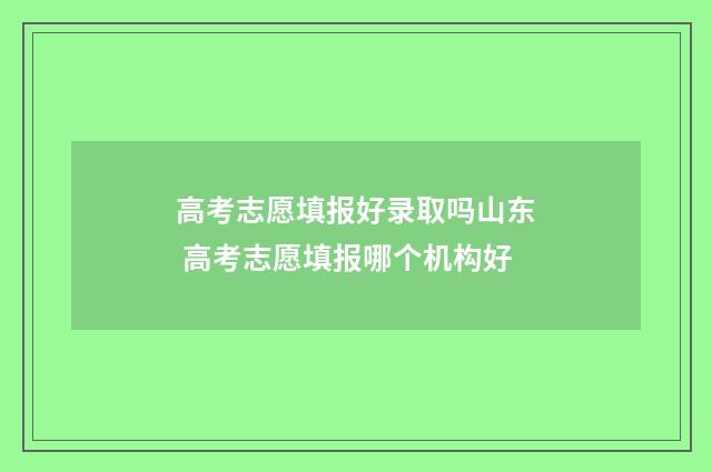 高考志愿填报好录取吗山东 高考志愿填报哪个机构好