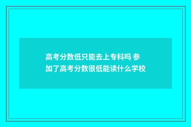 高考分数低只能去上专科吗 参加了高考分数很低能读什么学校