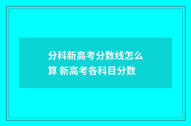 分科新高考分数线怎么算 新高考各科目分数