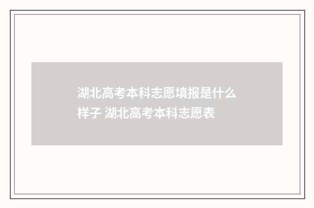 湖北高考本科志愿填报是什么样子 湖北高考本科志愿表