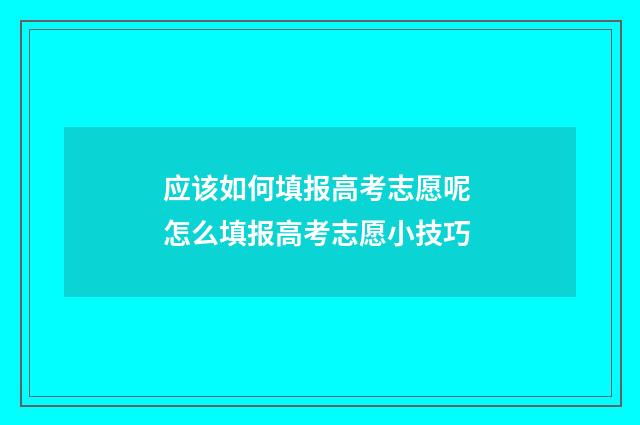 应该如何填报高考志愿呢 怎么填报高考志愿小技巧