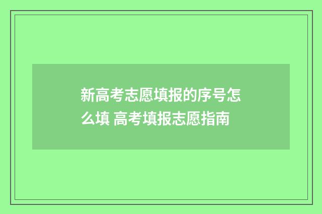 新高考志愿填报的序号怎么填 高考填报志愿指南