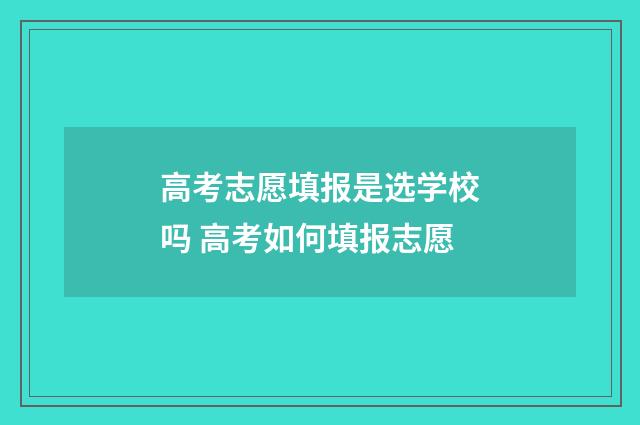 高考志愿填报是选学校吗 高考如何填报志愿