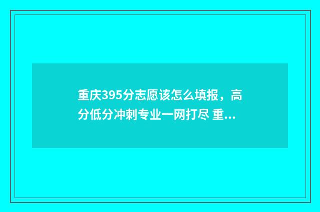 重庆395分志愿该怎么填报，高分低分冲刺专业一网打尽 重庆高考志愿96个志愿