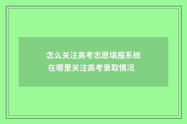 怎么关注高考志愿填报系统 在哪里关注高考录取情况
