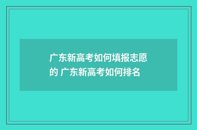 广东新高考如何填报志愿的 广东新高考如何排名