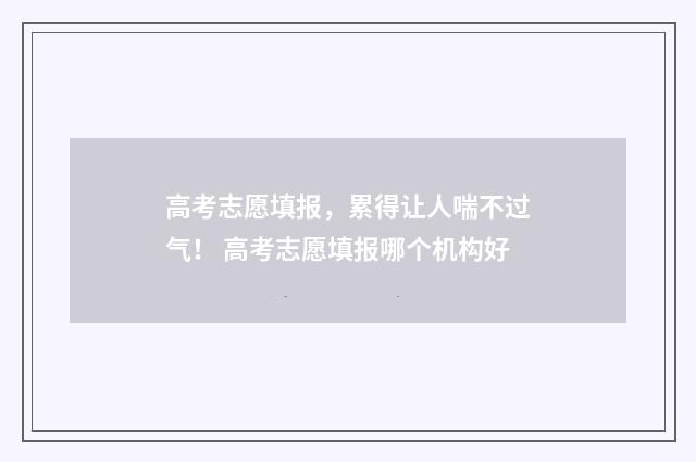 高考志愿填报，累得让人喘不过气！ 高考志愿填报哪个机构好
