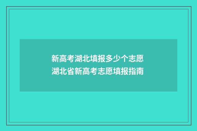 新高考湖北填报多少个志愿 湖北省新高考志愿填报指南