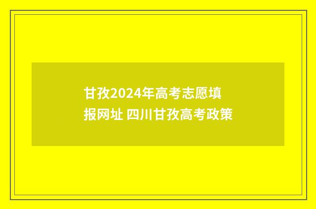 甘孜2024年高考志愿填报网址 四川甘孜高考政策