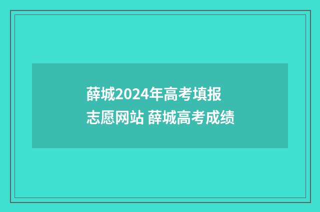 薛城2024年高考填报志愿网站 薛城高考成绩