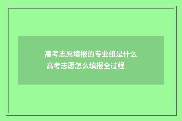 高考志愿填报的专业组是什么 高考志愿怎么填报全过程