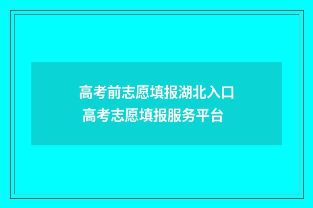 高考前志愿填报湖北入口 高考志愿填报服务平台