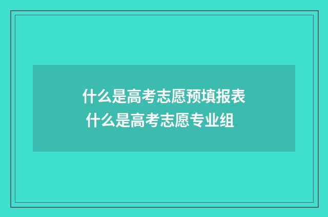 什么是高考志愿预填报表 什么是高考志愿专业组