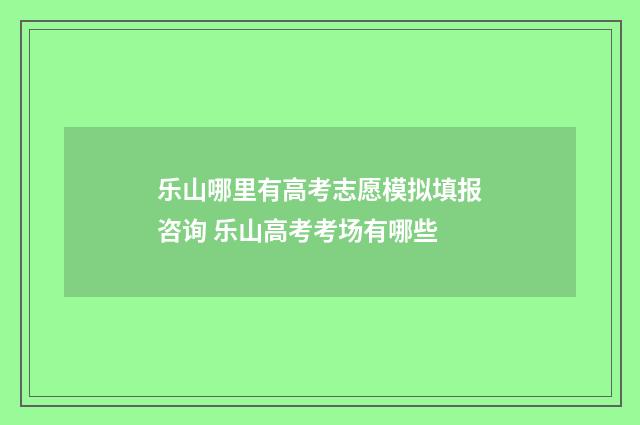 乐山哪里有高考志愿模拟填报咨询 乐山高考考场有哪些