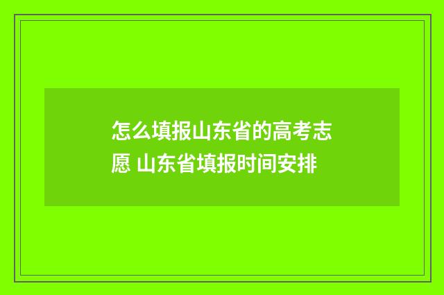 怎么填报山东省的高考志愿 山东省填报时间安排