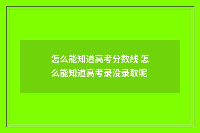 怎么能知道高考分数线 怎么能知道高考录没录取呢