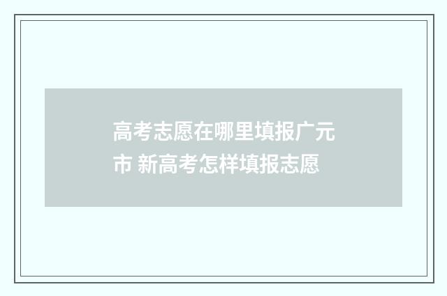 高考志愿在哪里填报广元市 新高考怎样填报志愿
