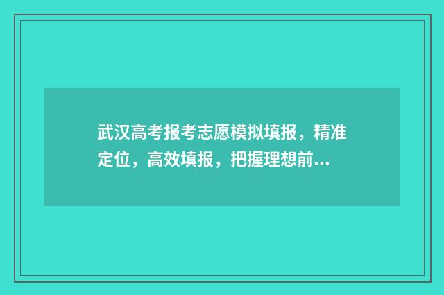 武汉高考报考志愿模拟填报，精准定位，高效填报，把握理想前程 武汉市 高考