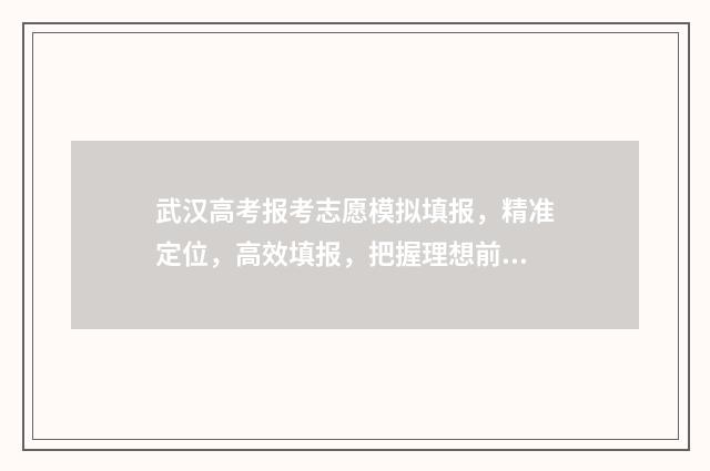 武汉高考报考志愿模拟填报，精准定位，高效填报，把握理想前程 武汉市 高考