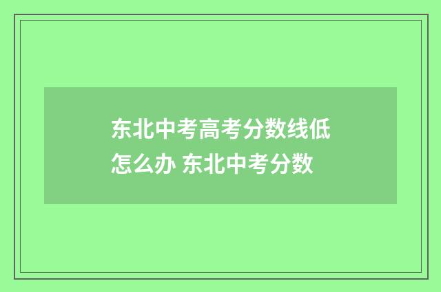 东北中考高考分数线低怎么办 东北中考分数