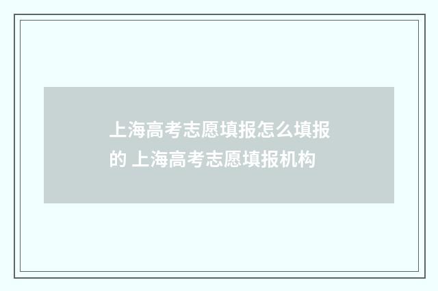 上海高考志愿填报怎么填报的 上海高考志愿填报机构